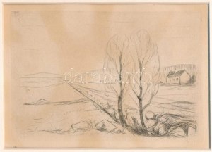 Edvard Munch (1863-1944): Tájkép (Landschaft). Rézkarc, papír, jelzés nélkül. Megjelent: Hermann Struck...
