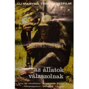 1979 Az állatok válaszolnak, filmplakát, ofszet, papír, jelzett a nyomaton (Vancsa-Sárközy)...