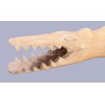 cca 1900 Nagyméretű csont krokodil figura, h: 37 cm