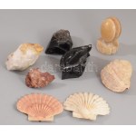 8 darabos ásvány és kagyló tétel, közte obszidián, achát, opál, jáspis, klf méretben,