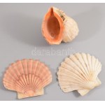 8 darabos ásvány és kagyló tétel, közte obszidián, achát, opál, jáspis, klf méretben,