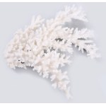 Fehér korall, 26x23 cm