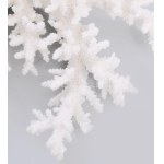 Fehér korall, 26x23 cm