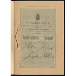 1884 Bp., Ferenc József cs. és kir. nevében kiállított útlevél külföldre, szép állapotban