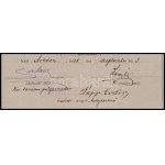 1888 Salacz Gyula, Arad polgármestere, képviselő által aláírt bizonyítvány