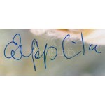 Esztergályos Cecília Kossuth-díjas színésznő által aláírt fotó