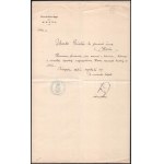 1896 Vörös László (1848-1925) miniszter aláírása államtitkárként kinevezésen
