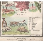 Ugocsa vármegye kőnyomatú térképe (Beregszász - Nagyszőllős - Tiszaújlak). Megjelent, Hátsek Ignácz...
