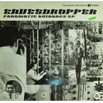Eavesdropper - Pragmatic Guidance. Vinyl, EP, VG+