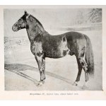 Tátray János: A lótenyésztés és a ló külső formáinak (alakulásainak) ismertetéseBudapest, 1918, Pátria...
