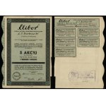 Elibor S.A. Handlowo-Przemysłowa Ł. J. Borkowski, 5 shares at 100 zlotys = 500 zlotys, 1934, Warsaw