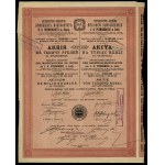 Towarzystwo Akcyjne Wyrobów Bawełnianych J. K. Poznański in Łódź, share for 1,000 rubles, 1910, Łódź
