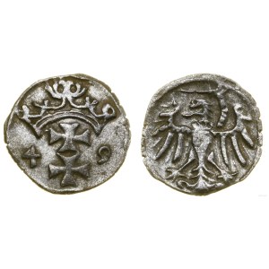 Poland, denarius, 1549, Gdansk
