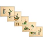 5 polychrome woodcuts, 5 polychrome woodcuts