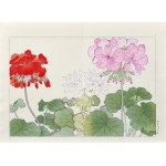 Tanigami Konan (1879-1928), Pelargonia, wyd. Unsodo, Kioto/Japonia, 1917 r.