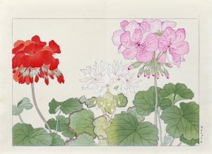 Tanigami Konan (1879-1928), Pelargonia, wyd. Unsodo, Kioto/Japonia, 1917 r.