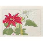 Tanigami Konan (1879-1928), Poisencja, wyd. Unsodo, Kioto/Japonia, 1917 r.