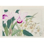 Tanigami Konan (1879-1928), Oncidium - storczyk motylnik, wyd. Unsodo, Kioto/Japonia, 1917 r.