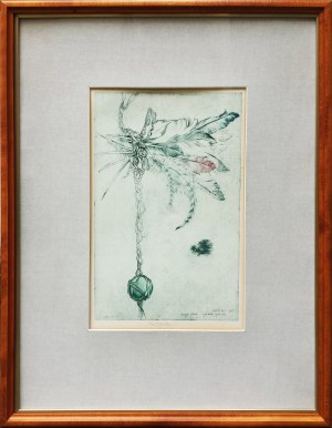 Daniela Havlíčková, Flying dreams, 1987