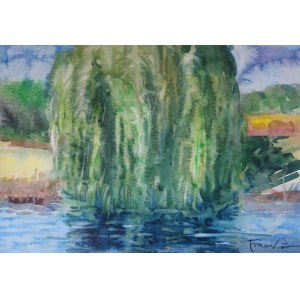 Alexander Franko, Willow