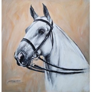 Beata Raczyńska, Siwek