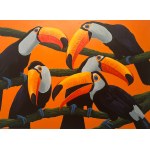 Jedrzej Jarocki, Toucans
