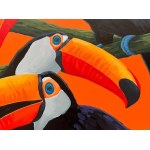 Jedrzej Jarocki, Toucans