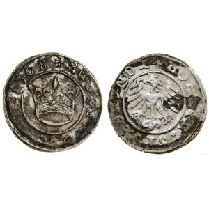 Poland, half-penny, 1508, Cracow