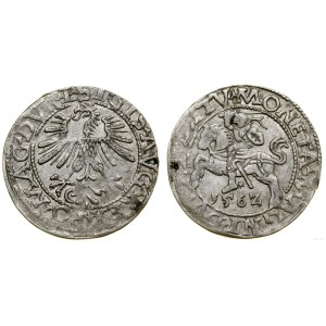 Polska, półgrosz, 1562, Wilno