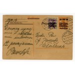 Lowicz, local overprint on dofranking stamp on card, 1919 (201)