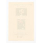 World Cup - Argentina 1978, new print (488)