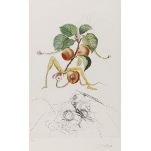 Salvador Dalí (1904 Figueres - 1989 Figueres), Abricot Chevalier de la série Flordali.