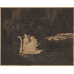Zofia Stankiewicz (1862 Ryzhiv, Ucraina - 1955 Varsavia), Cigni, 1912 ca.