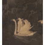 Zofia Stankiewicz (1862 Ryzhiv, Ucraina - 1955 Varsavia), Cigni, 1912 ca.