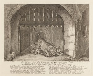 Johann Elias Ridinger (1698 - 1767 ), Lwica z młodymi