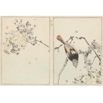 Watanabe Seitei (1852 - 1918 ), 