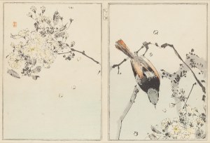Watanabe Seitei (1852 - 1918 ), 
