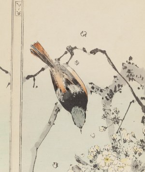 Watanabe Seitei (1852 - 1918 ), 