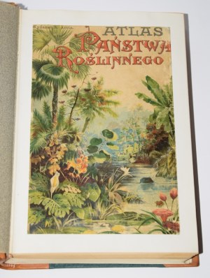 WILKOMM Maurycy - Atlas państwa roślinnego. 125 tabl. kol., 700 rys., liczne drzeworyty. Warszawa 1911.