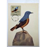 Postcard - Series Birds protected in Poland - 1962