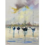 Alfred Anioł, Boats