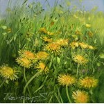 Sergiy Tsemrouk, Eclipsed in Wild Bloom