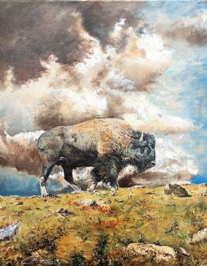 Zbigniew Cortez Zając, American Bison
