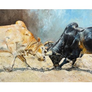 Zbigniew Cortez Hare, Dynamic Bull Duel