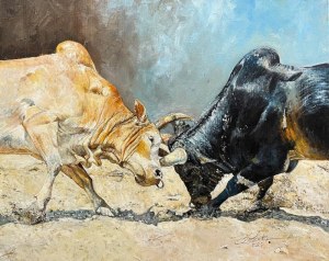 Zbigniew Cortez Zając, Dynamic Bull Duel