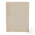 II RP-Fotografia Kapitana Mariana Mytkowicza-28 Pułk Strzelców Kaniowskich