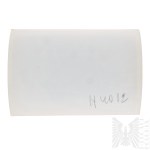 PSZnZ Press Photo Liberation of Oberlangen Camp - Home Army/1 Armored Division/Warsaw Uprising.