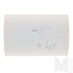 PSZnZ Press Photo Liberation of Oberlangen Camp - Home Army/1 Armored Division/Warsaw Uprising.