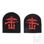 PSZnZ Pair of Commando Commando "Combined Operations" Patches.