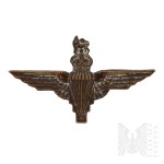 Great Britain/2WW Officer